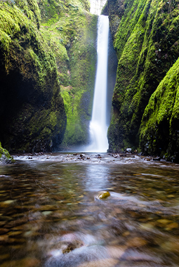 Nature